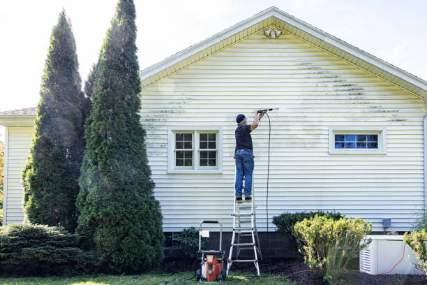 Best Affordable Power Washing  in Harper, TX